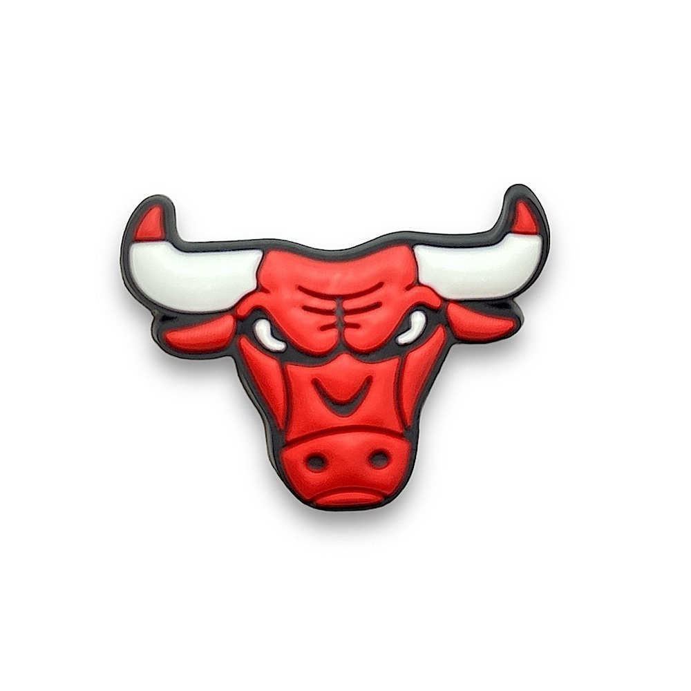 5/$10💥10/$15 Chicago Bulls Croc Charm